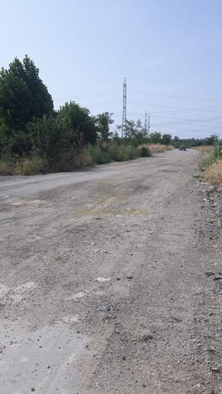 Spre Vanzare - Teren Intravilan - Vitanul Nou - Palady - 7