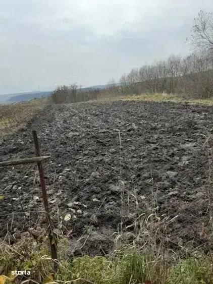 Casa + Teren Vanzare - Rediu, Judetul Cluj - 2