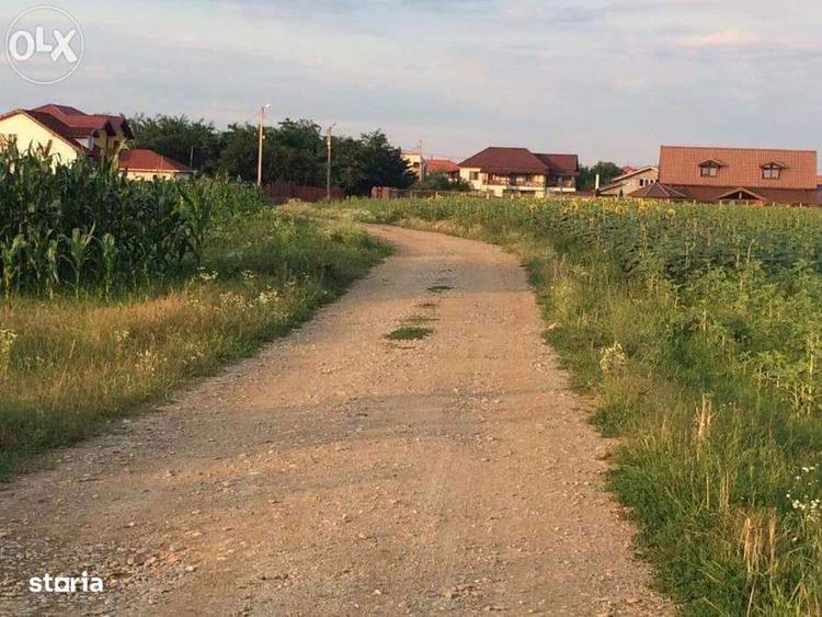 Teren Ghermanesti-Ciofliceni, Snagov, Str. Stefanita Voda, negociabil - 3