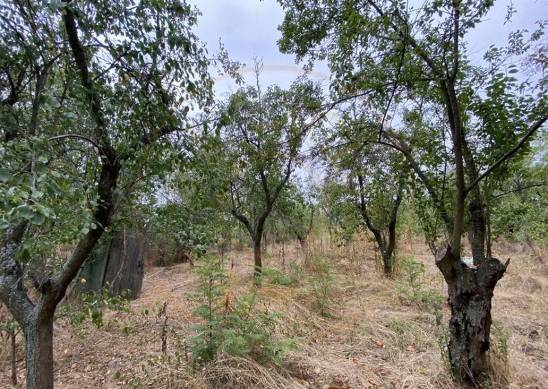 Teren 3000mp intravilan in Mavrodolu, AG - 6