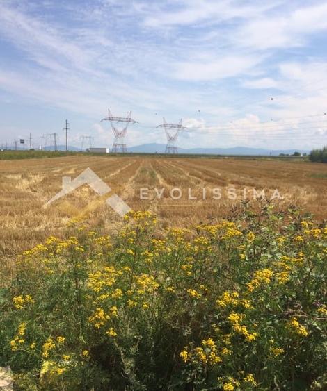 Teren 9.300 mp Strada Rampei Brasov - 2