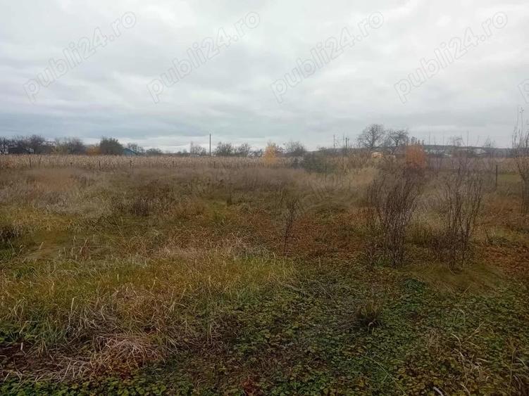 Casa Bodesti 50mp 2 camere bucataria anexe la sosea cu 1500mp teren lumina ,fintina cu apa - 10