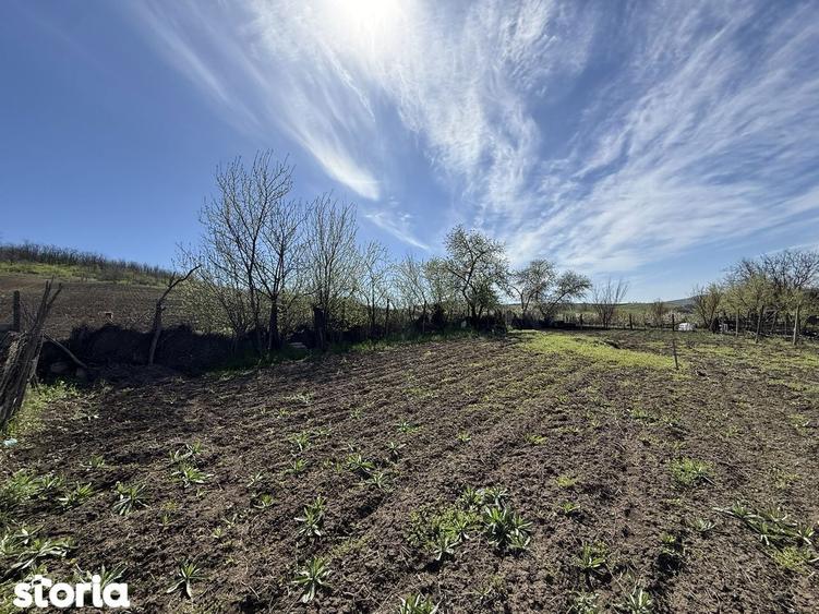 Teren 3550mp, 10km de Iasi, casa - 10