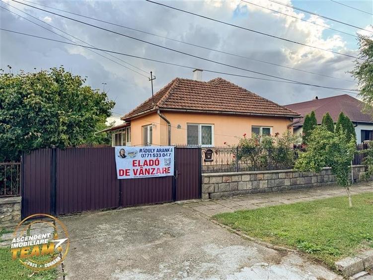 FILM&3D! Casa ospitaliera,curte si gradina asortata,arie linistita,Simeria,Sfant - 1