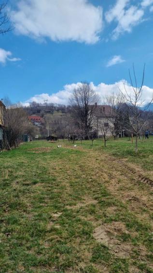 Teren de vanzare - 7