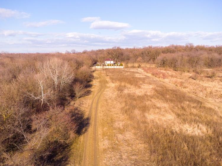 Magurele langa padurea Cornetu si Arges, teren intravilan - 4