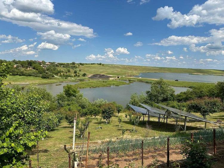 Casa cu iesire la lac | 2.453 mp teren | Panouri fotovoltaice 9 kW, sat Naipu judet Giurgiu - 8