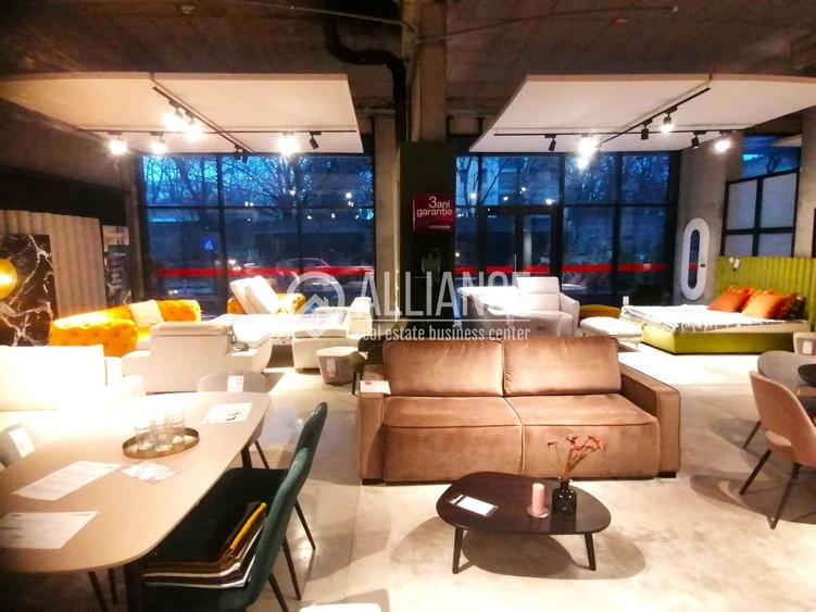 Spatiu comercial de inchiriat- (cod10)- EUROMATERNA - 13