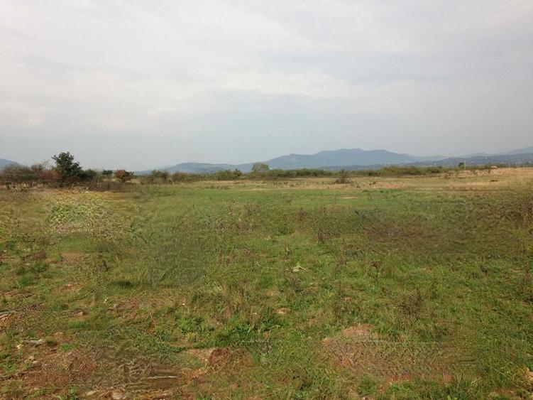 Teren extravilant Negresti-Oas - 1