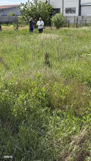 Teren 1907mp, ingradit,40ml frontm cu proiect casa Parter sat Les - 4