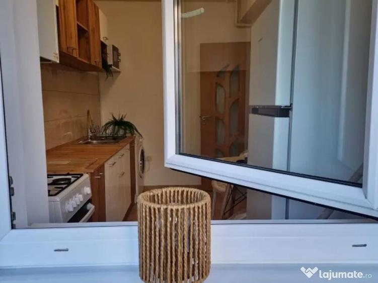 Dimitrie leonida drumul fermei popesti - 2