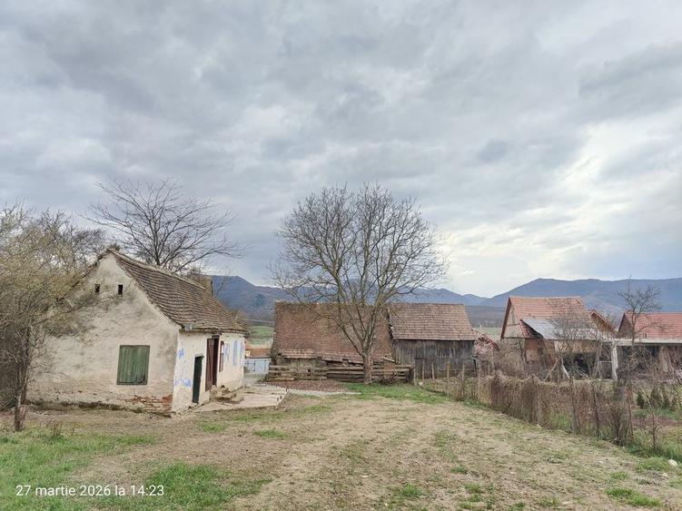 Casa cu livada / Teren intravilan / Sacel - 1350 mp Pozitie centrala - 3
