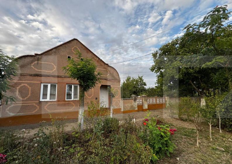 Casa 4 camere cu teren de 3892 mp - 6