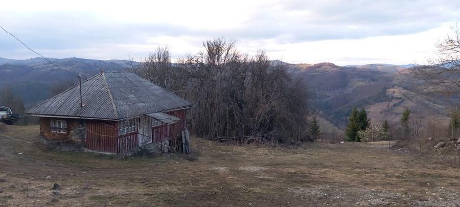 Casa de vanzare muntii apuseni - 7