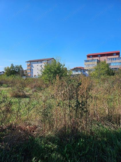Comuna 1 Decembrie, Jud. Ilfov, teren strada Sperantei - 1