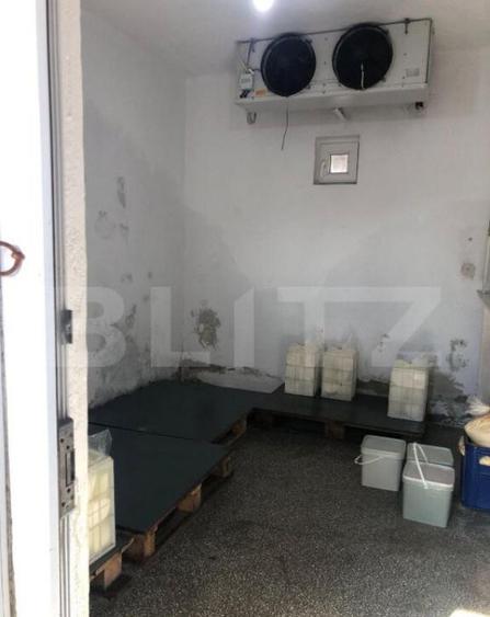 Afacere la cheie + casa, 160mp, Baraitaru - 8