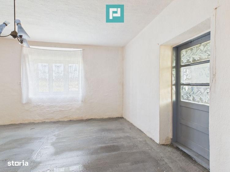Casa cu teren de 6000 mp in Duboz, Timis - 2