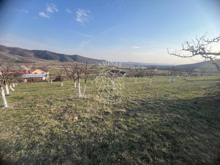 Teren 3100 mp-livada-ideal casa-Mititei - 1