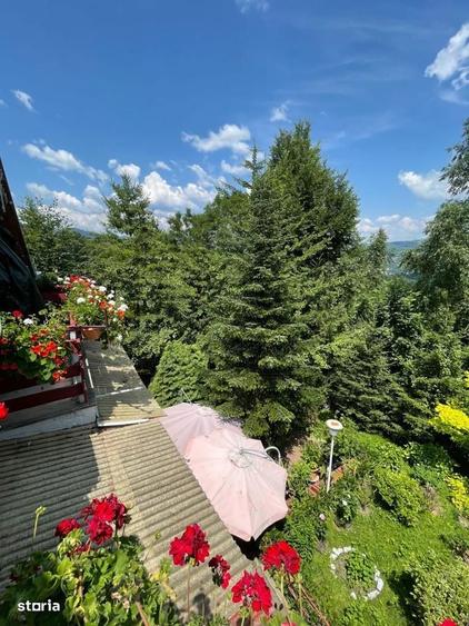 Vila 5 camere | Teren 5283 mp | Breaza - Comarnic | Gura Beliei - 6