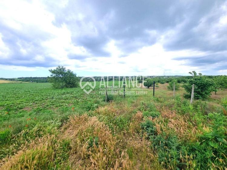 OVIDIU (COD 02)  - teren extravilan 4000 mp - 5