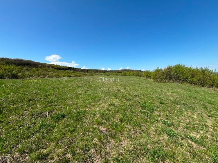 Oportunitate! Teren intravilan 3662 Mp, Front 32 mp,in sat. Padureni, Chinteni