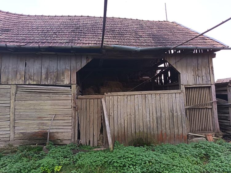 Casa de vanzare Gura Ariesului - 4