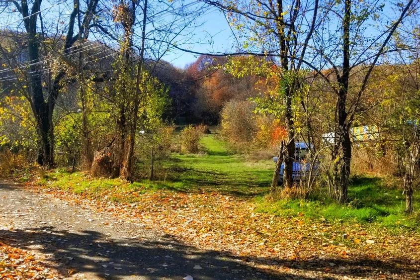 VANZARE teren intravilan 6011mp Mislea Scorteni Prahova Telega Prahova utilitati - 4