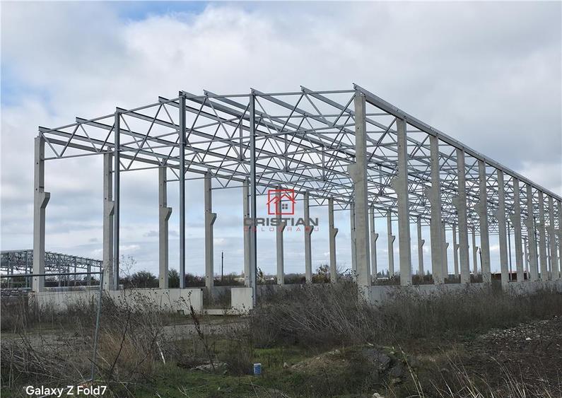 Depozit/hala/spatiu industrial Mogosoaia - Buftea - 6