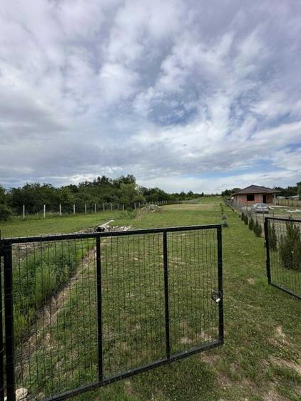 Vând 5000m pătrați teren,intravilan și extravilan. - 4