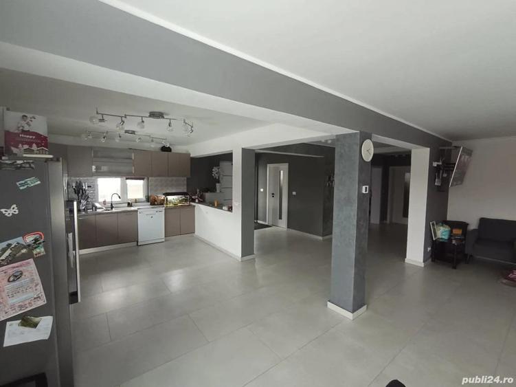 Casa individuala 4 camere - Peciu Nou - 1007 mp teren - 4