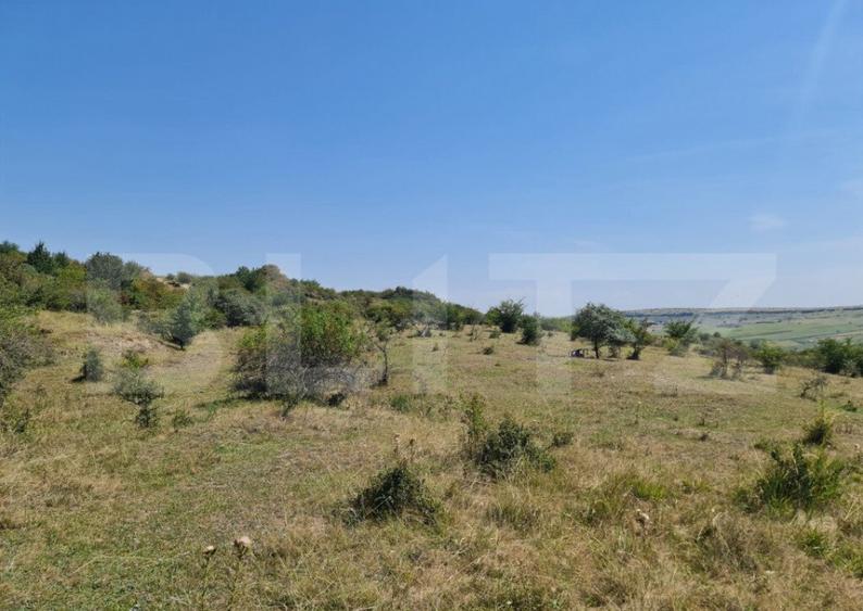 Teren extravilan 1,5 h pentru investitie - 7