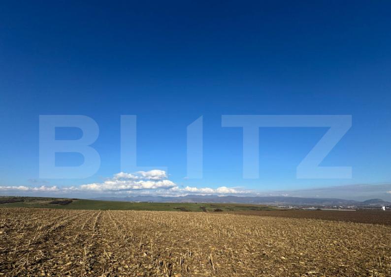 Teren extravilan agricol 5700 mp, Cristur - 6