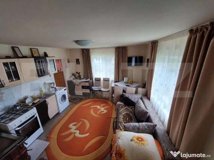 Casa de 120 mp si 1ha teren in Doroteia, Suceava - 16