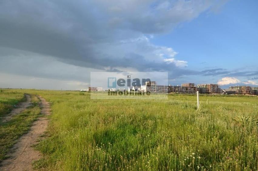 Voluntari - Matei Millo Teren 481 Mp Utili, Deschidere 20 Ml - 1