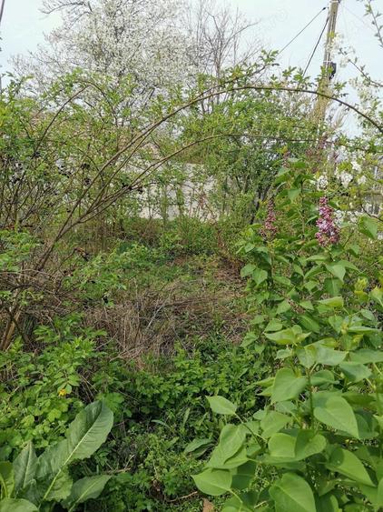 Teren de 1200 mp, în Balta Neagră