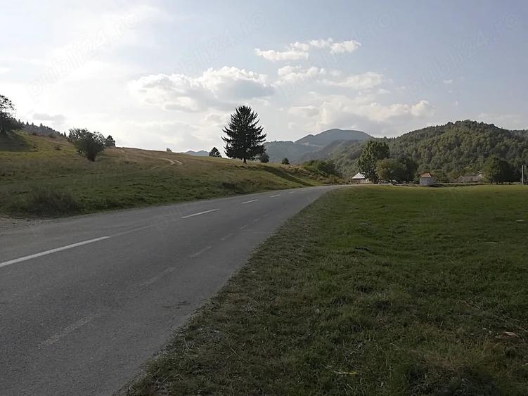 Teren de 4880 mp, în Plaiul Foii