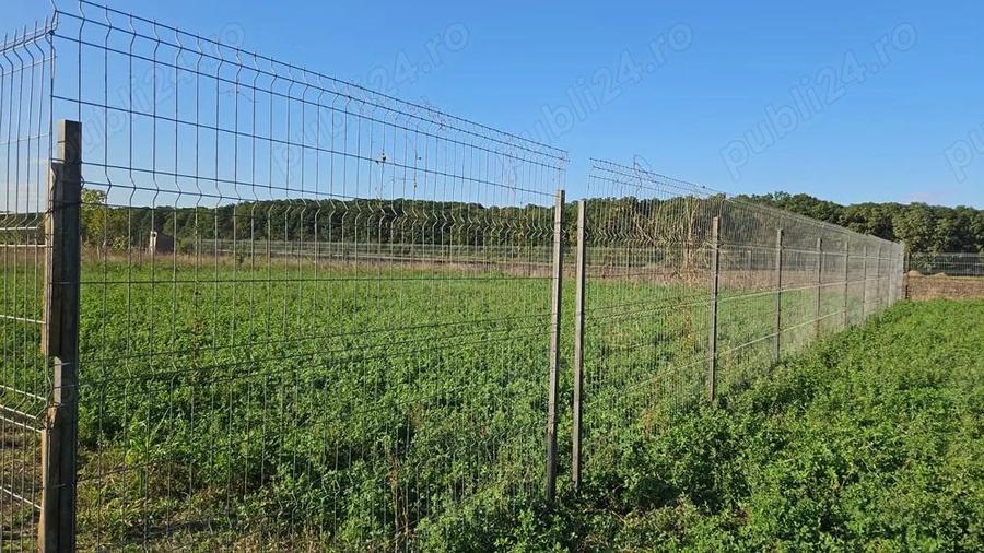 Teren constructii 638 mp - 4