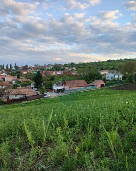 Teren intravilan Tarnaveni - 4