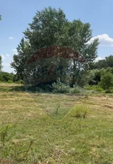 Teren-5000mp DN Ganeasa,sat Sindrilita,T9/Parcela 32/37 - 5