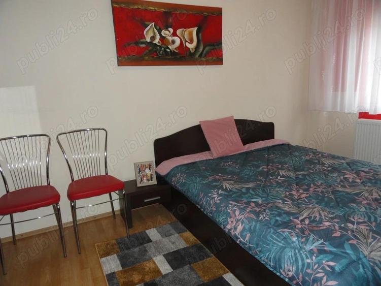 Apartament 3 camere, 2 bai, etaj 2, Micalaca, la cheie, renovat, mobilat si utilat - 8