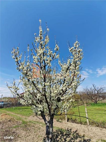 Casa tip parter zona Candesti - 15