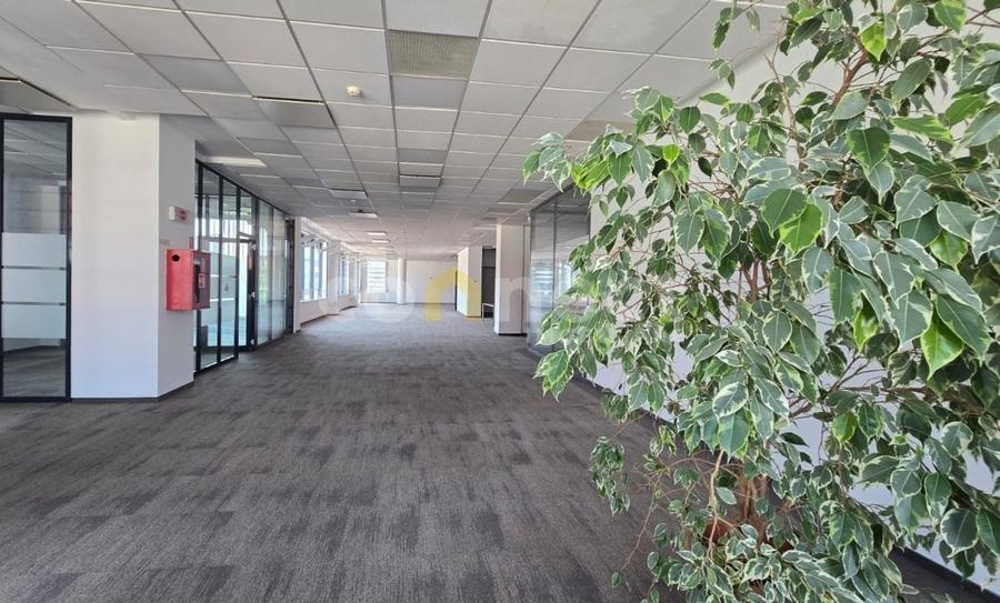 Birouri moderne de inchiriat 900 mp I Parcare subterana I Ultracentral Cluj - 1