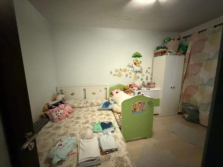 Alexandru Obregia - Someșul Cald - 8