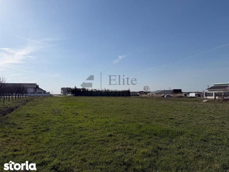 Casa cu 2195 mp teren in Cihei - Str. Mare - 6