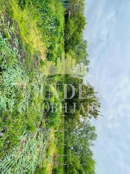 Casa individuala Covaci- 1000mp teren - 6