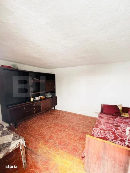 Refugiu la tara: casa traditionala , teren generos, si intimitate Cos - 8