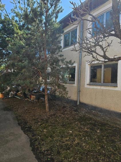 Hale ptr chirie SC total1000 mp , birouri 200 mp, curent capacit.mare , Zona Centura-Metro - 5