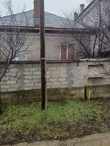 Proprietate cu 2 case, livada, vie ?i teren 1450 mp - 7