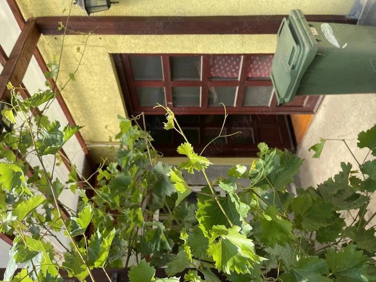 Vanzare casa Calea Ferentari - 1