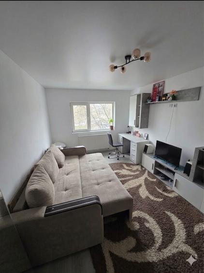 Apartament 2 camere decomandat,et2,Tig. 3, renovat complet, mobilat - 5